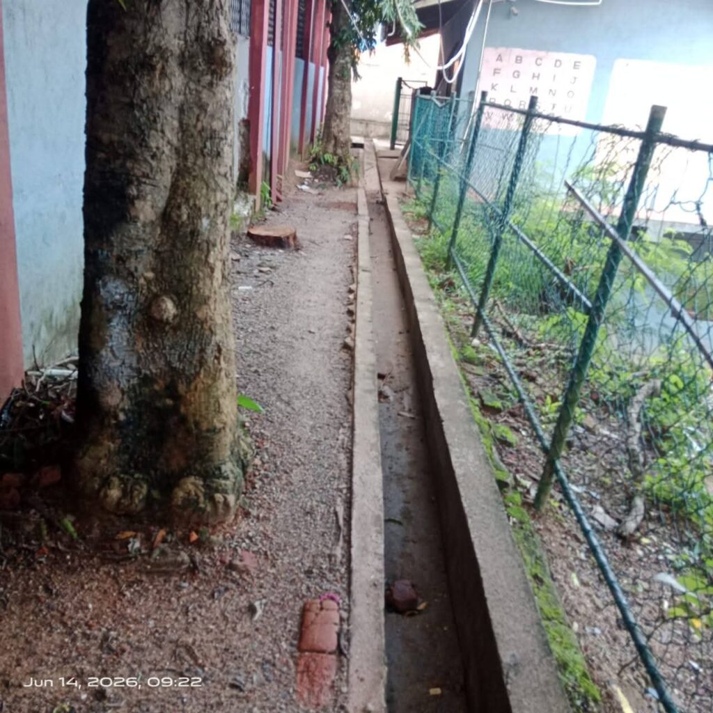 ඩෙංගු මර්ධන (3)