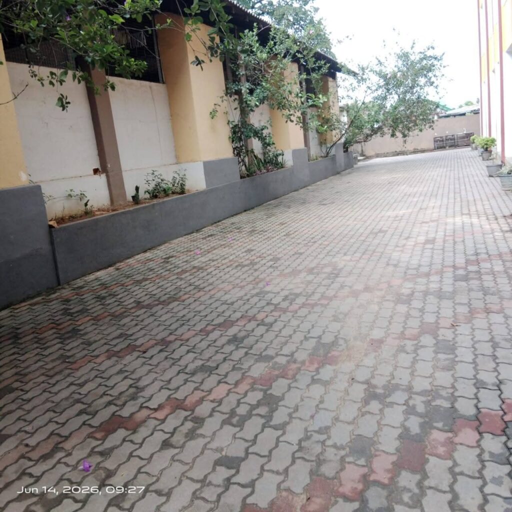 ඩෙංගු මර්ධන (8)